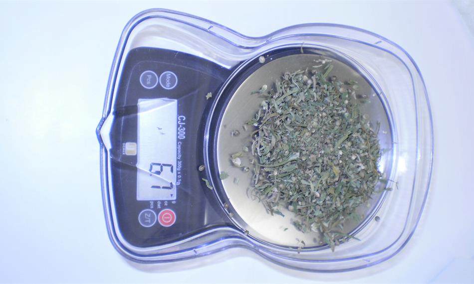 2011-1-27-1516sudafed (7).JPG